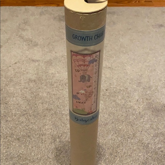 Growth Chart Scroll - Picture 1 of 3